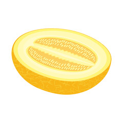Melon isolated on a white background. Delicious ripe melon whole and pieces, slices. Flat style, cartoon design