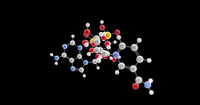 Nicotinamide adenine dinucleotide molecule, rotating 3D model of nad, coenzyme, looped video on a black background