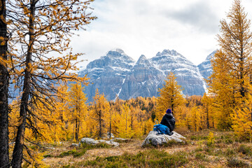 Tourists hiking in Larch Valley. Banff National Park, Canadian Rockies, Alberta, Canada. Golden yellow larch forest in Fall season. Valley of the Ten Peaks in the background.