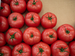 tomatoes closeup with green leaves at the market