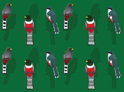 Bird Elegant Trogon Cute Seamless Wallpaper Background