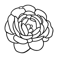 Hand drawn simple flower illustration