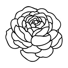 Hand drawn simple flower illustration