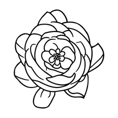 Hand drawn simple flower illustration