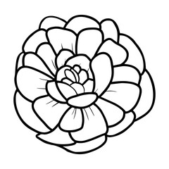 Hand drawn simple flower illustration