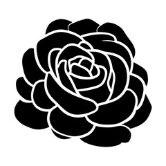 Hand drawn simple flower illustration