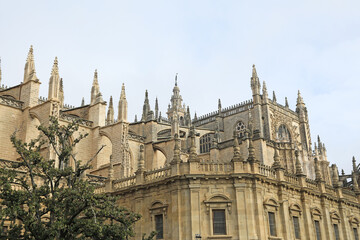 sevilla catedral vista desde el barrio de santa cruz 4M0A5255-as24