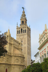 sevilla giralda catedral vista desde el barrio de santa cruz 4M0A5322-as24