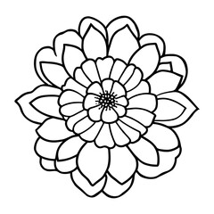 Hand drawn simple flower illustration