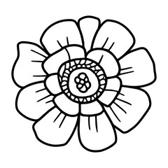 Hand drawn simple flower illustration
