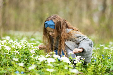 Obraz premium Cute toddler girl in the grass with many white spring flowers in park or forest on a spring day. Little kid exploring nature. Outdoor activities for children