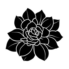 Hand drawn simple flower illustration