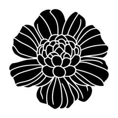 Hand drawn simple flower illustration