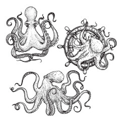 Octopus sketch hand drawn vector illustrations set. Octopus on the helm. Engraving line art collection. Best for nautical designs.