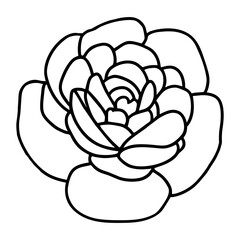 Hand drawn simple flower illustration