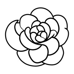 Hand drawn simple flower illustration