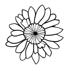 Hand drawn simple flower illustration