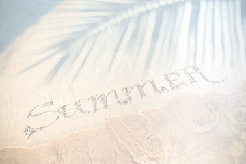 summer tropical travel holiday banner. sandy beach, shade of palm trees and waves on the waters...