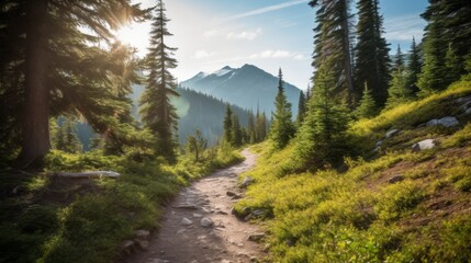Fototapeta premium A Serene Trail Through the Woods with a Majestic Mountain in the Background