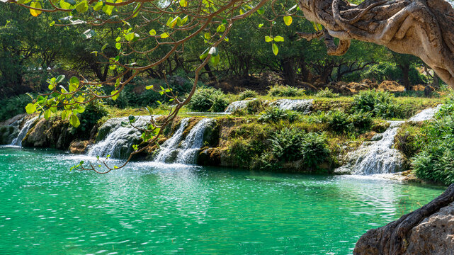 Wadi Darbat in the Dhofar region of Oman
