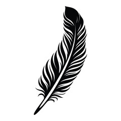 Obraz premium Black fluffy feather. Hand drawing vintage art realistic quill feathers for pen detailed isolated vector elegant silhouette sketch bird plume set