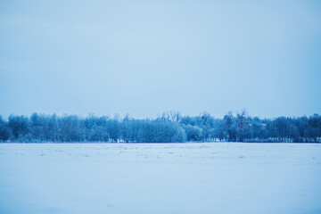 A snowy spacious landscape of a field and a park on a cold winter day in January. Nature in winter....