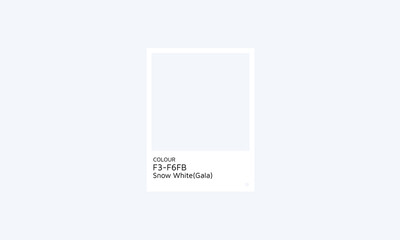 Color Palette 2024 Snow White Gala design swatch.