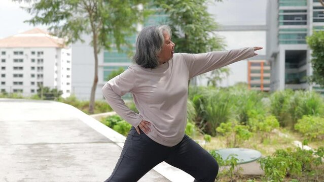 Asian elderly woman exercising in an outdoor park. Sports concept. Elderly health care