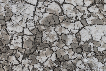 Tierra agrietada y seca