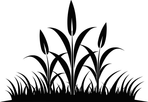 recommend clip art: Vector silhouette of wheat. Silhouette. Wheat in the field on a white background. AI generated illustration.
