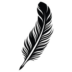 Obraz premium Black fluffy feather. Hand drawing vintage art realistic quill feathers for pen detailed isolated vector elegant silhouette sketch bird plume set