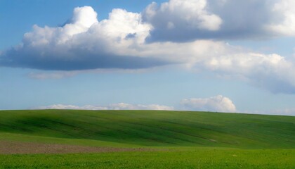 Fototapeta premium spring