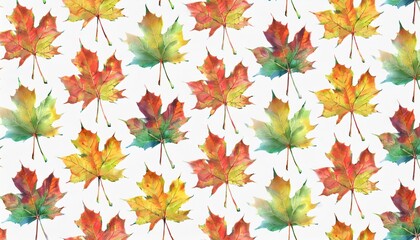 Fototapeta premium banner autumn pattern maple leaf bright on white background
