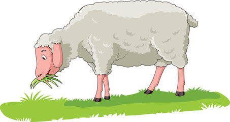 Cute sheep eating grass in a field