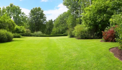  beautiful wide format image of a manicured country lawn surrounded by trees and shrubs on a bright summer day spring summer nature © Debbie