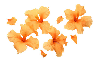 Capturing the Floral Essence of Orange Gladiolus Petals in a Breathtaking Photograph Isolated on Transparent Background.