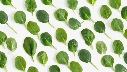 spinach pattern background on white top view