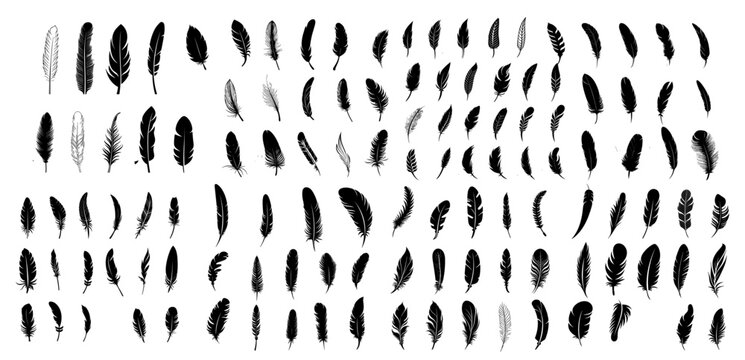 mega set of silhouette outline of feathers. simple bird feathers.