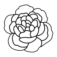 Hand drawn simple flower illustration