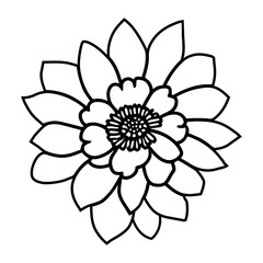 Hand drawn simple flower illustration