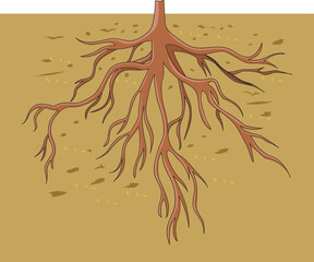 Root system under ground illustration