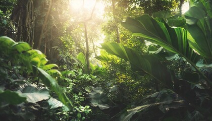 lush jungle with dense foliage and soft light filtering through leaves enigmatic nature scene