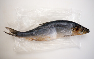 Frozen herring on cellophane.