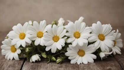Obraz premium bouquet of daisies