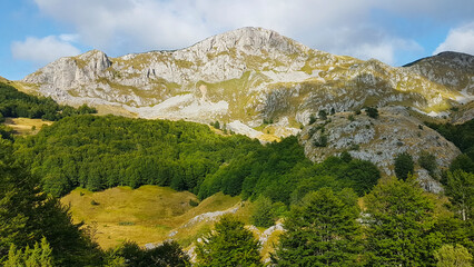 Sutjeska-Nationalpark in Bosnien-Herzegowina der letzte Urwald Europas