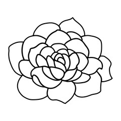 Hand drawn simple flower illustration