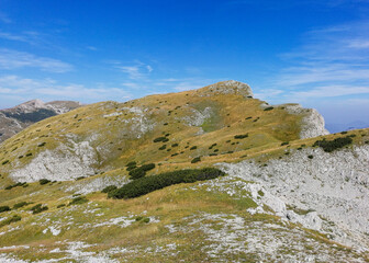 Sutjeska-Nationalpark in Bosnien-Herzegowina der letzte Urwald Europas