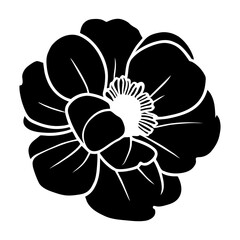 Hand drawn simple flower illustration