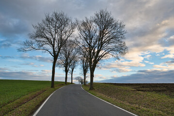Landstrasse im Herbst bewölkter Himmel