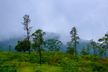 fog over the great smoky mountains in Northern Thailand, Natural landscape view